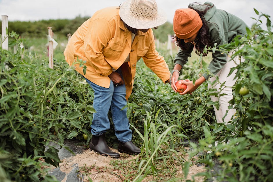 Where are the main global food production regions?