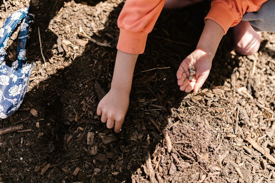 How does soil quality influence crop health?