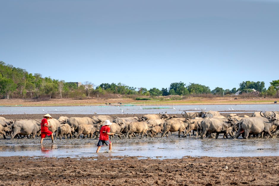 What are the economic challenges faced by farmers?