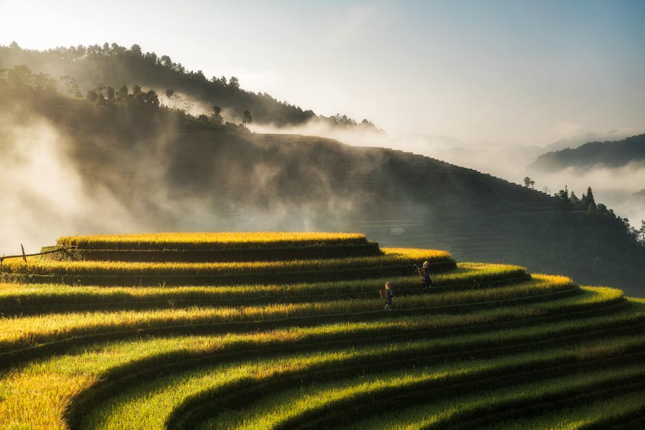 How do different cultures approach farming?