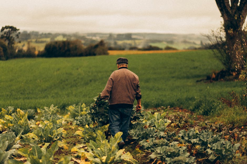 What is the future of agricultural labor?