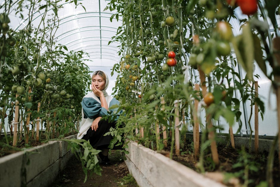 Could sustainable agriculture feed a growing population?