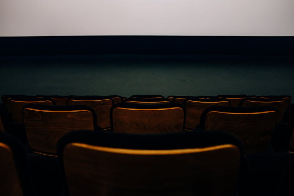 What factors influence the success of a film or show?