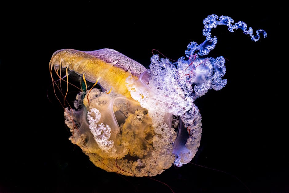 Which marine animals use bioluminescence for survival?