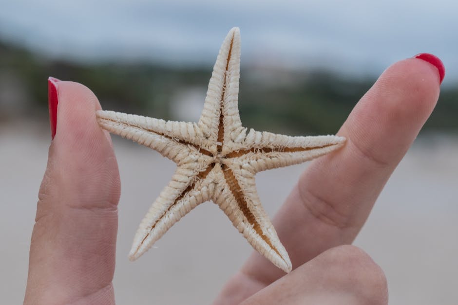 Could marine organisms hold medicinal breakthroughs?