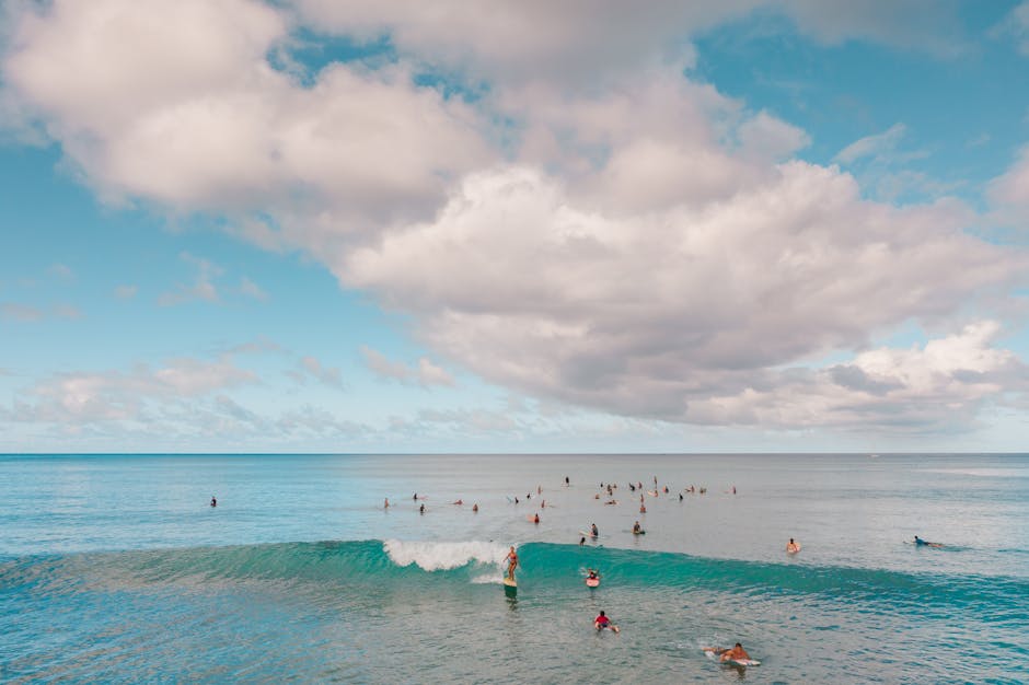 How can we mitigate the impact of human activity on the ocean?