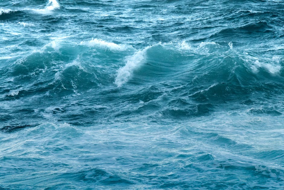 How do ocean currents affect marine life?