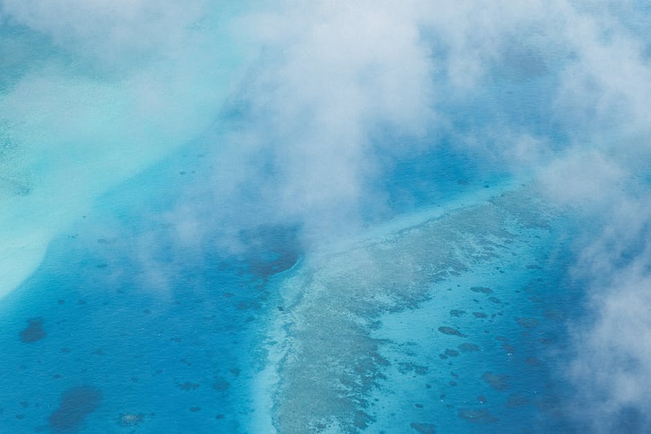 How do coral reefs adapt to changing ocean temperatures?