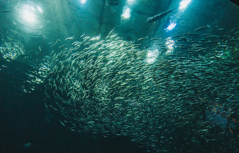 How do marine animals navigate in the deep sea?