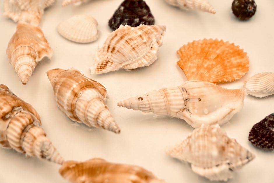 How is ocean acidification impacting shellfish?