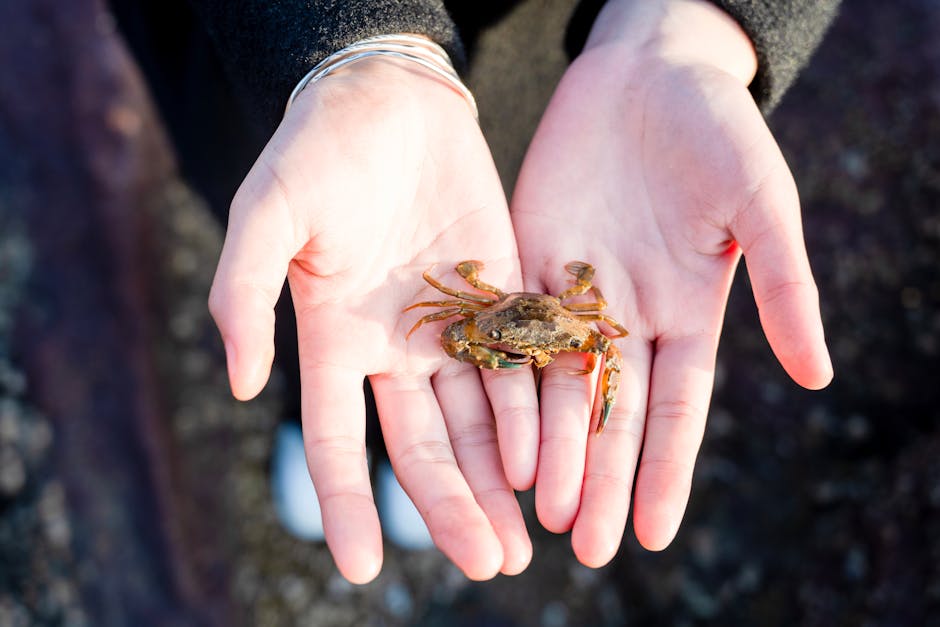 What are the challenges of studying deep-sea ecosystems?