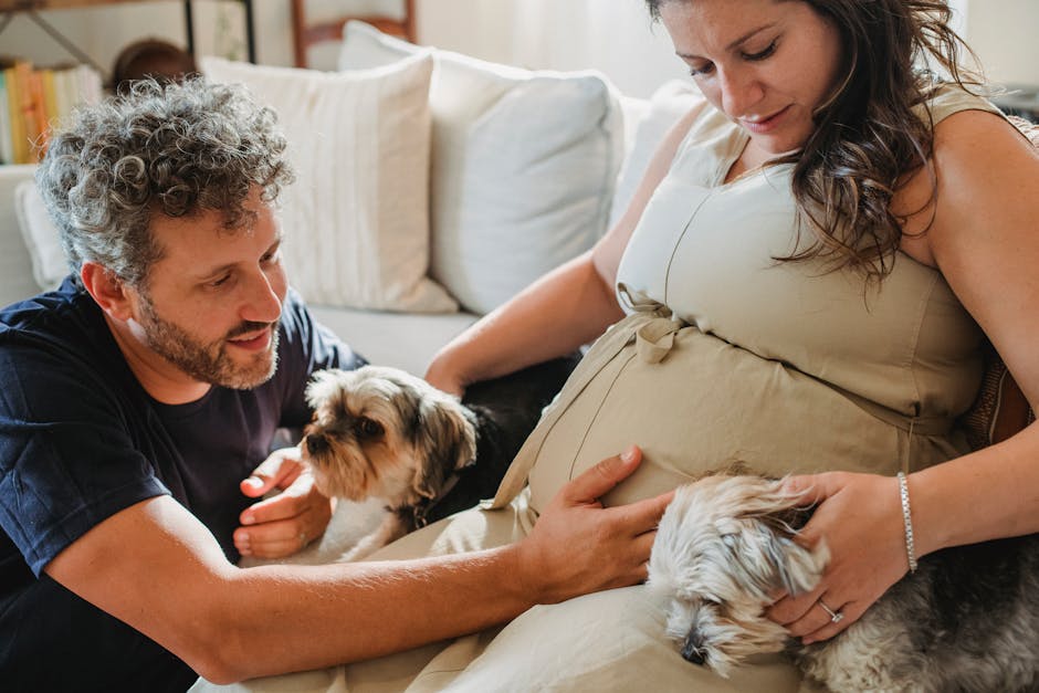 Can pets benefit from pet therapy?