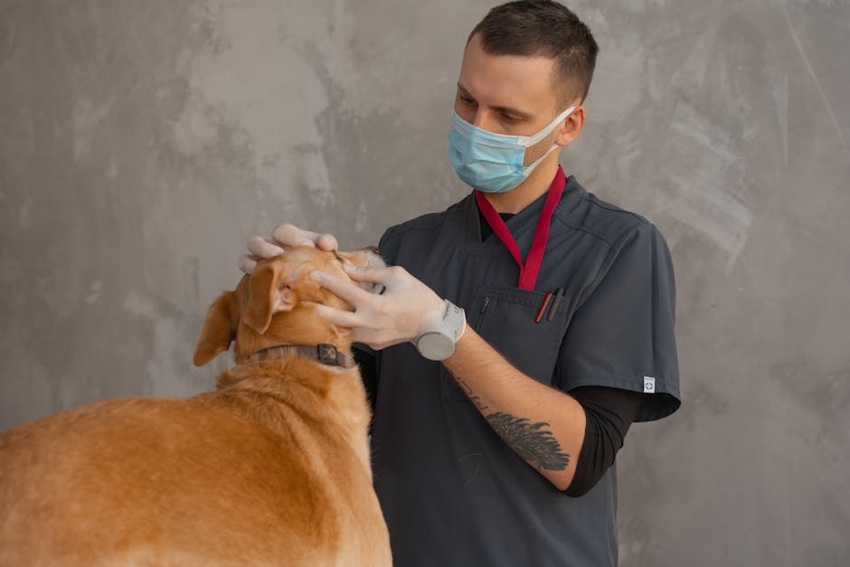 What is the importance of regular vet checkups?