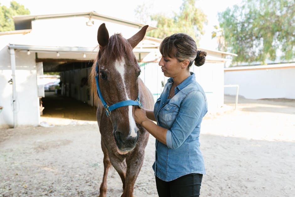 How can you train a pet effectively and humanely?