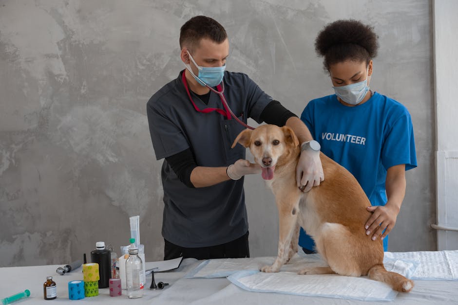 Why is regular veterinary check-up important?