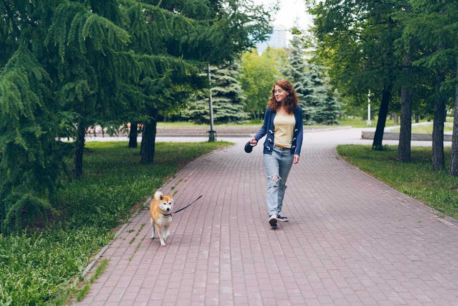 Why is regular exercise important for pets?