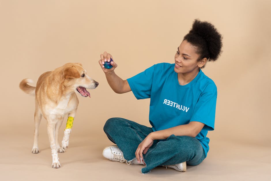 What are the benefits of pet therapy?