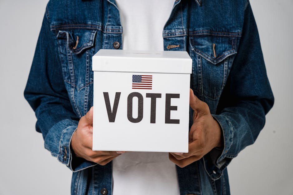 What factors influence voter turnout rates?