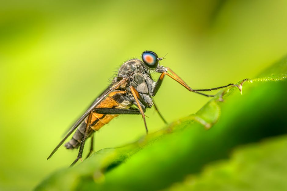 How do living things adapt to their environment?