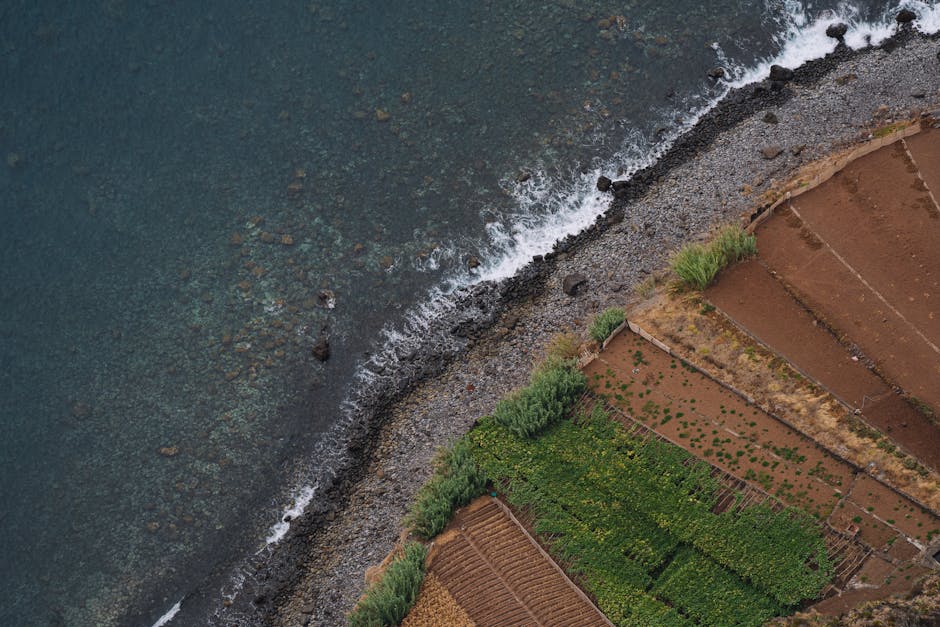 How do weather patterns affect agriculture?