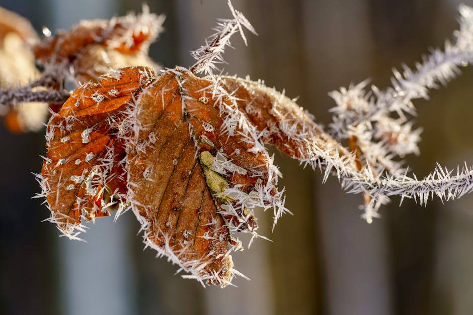 Does climate change affect weather predictability?