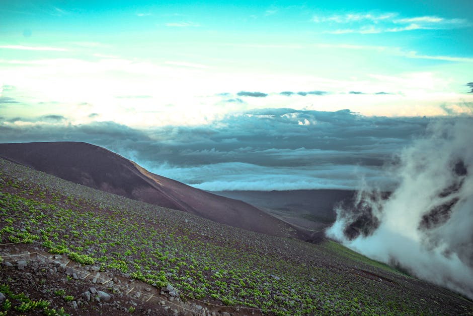 Where are the driest and wettest places on Earth?