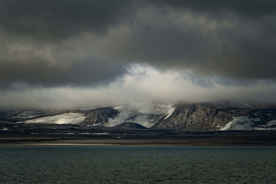 What are the different types of precipitation?