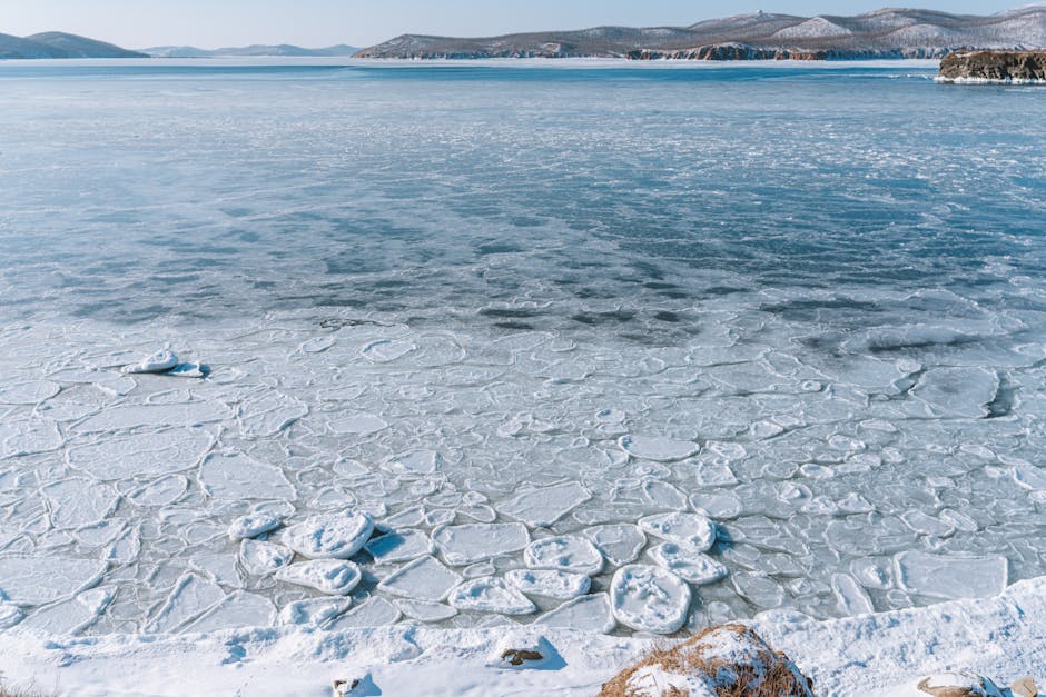 Are there connections between climate and ecosystems?