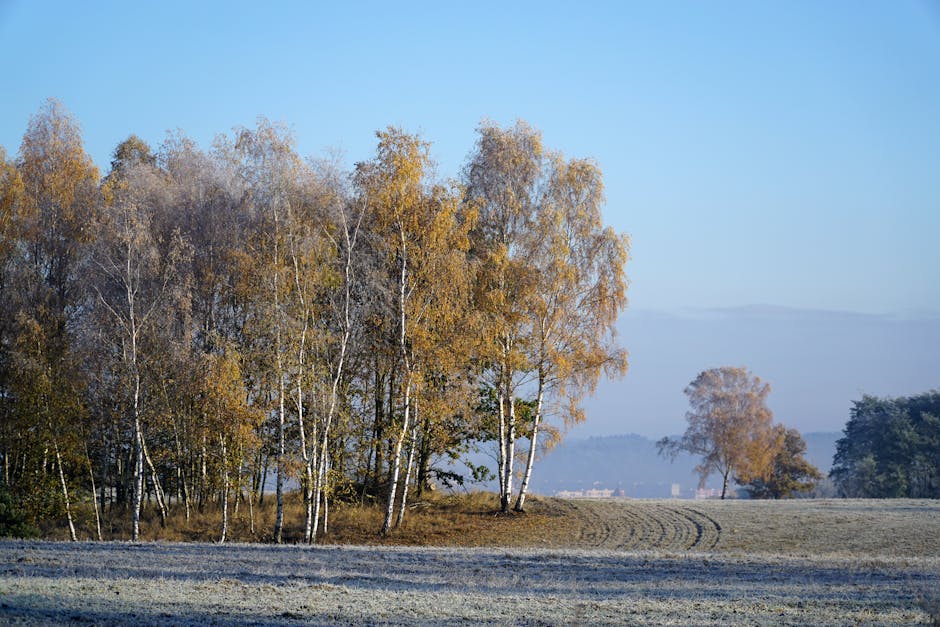 Are there natural climate cycles that influence weather?