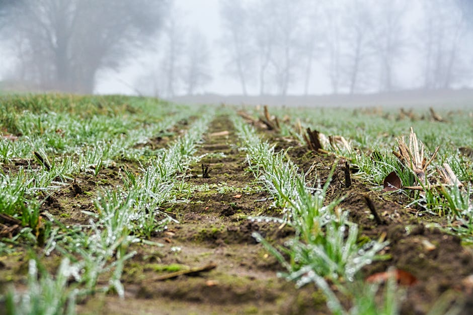 What is the importance of biodiversity in farming?