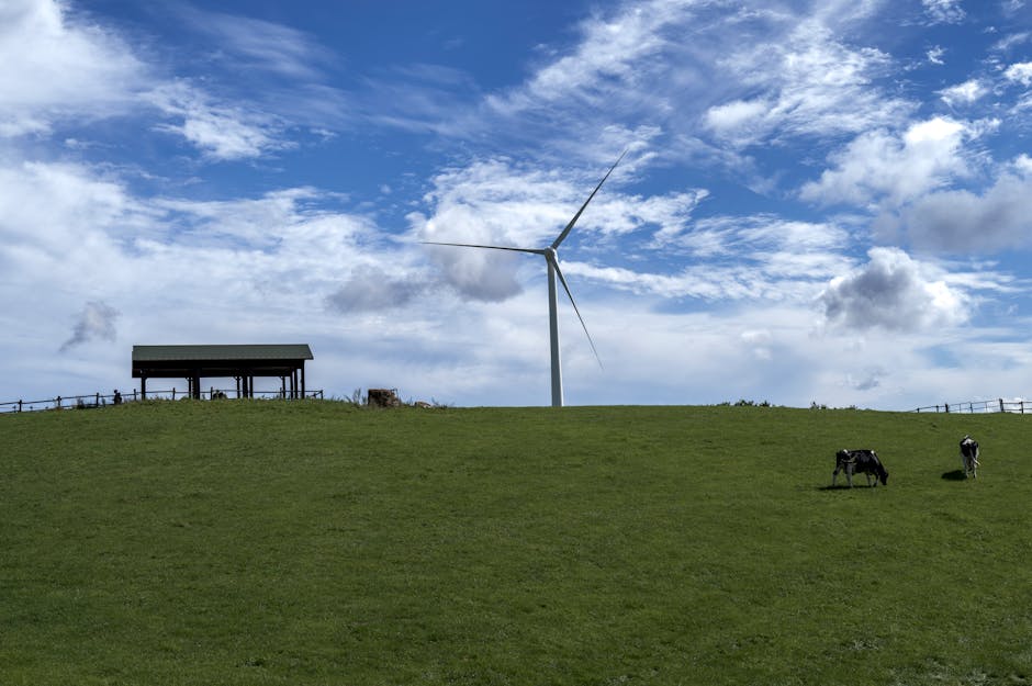 Does climate change affect livestock farming?