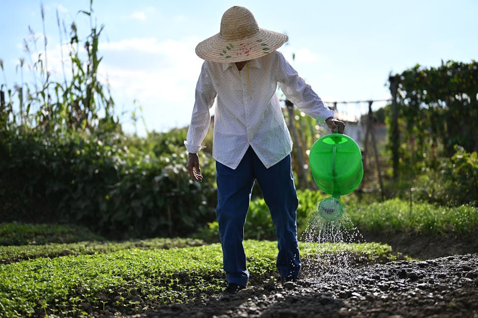 How can we improve water usage in agriculture?