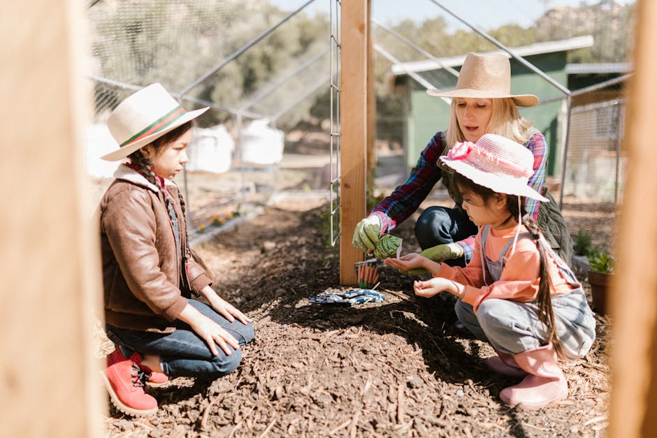 Where do most farmers get their seeds?