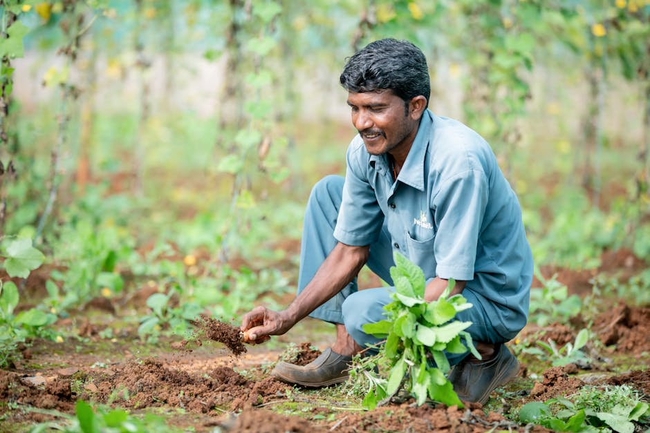 Why is soil health important for farming?