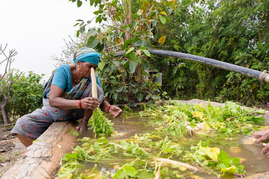 What methods do farmers use to control pests?