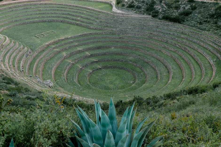 Did past farming practices harm the environment?