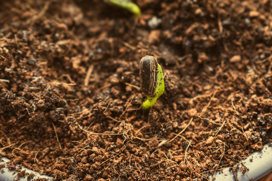 When will new farming techniques be adopted?