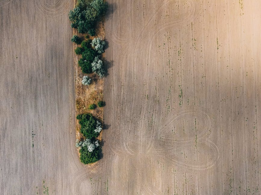 What impact does farming have on biodiversity?