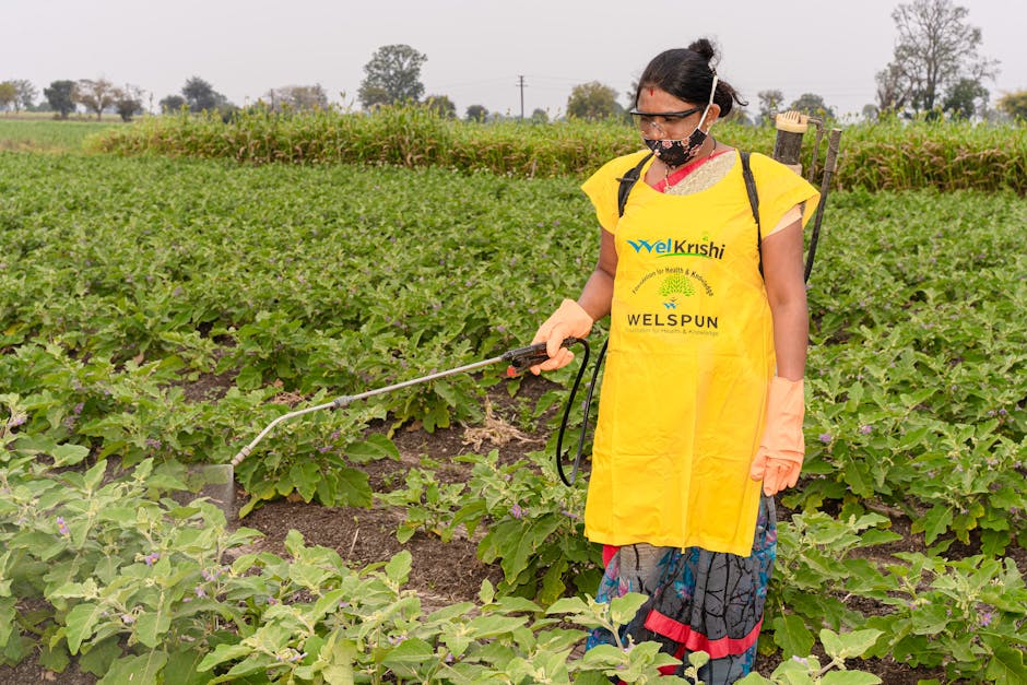 How can farmers reduce pesticide use?