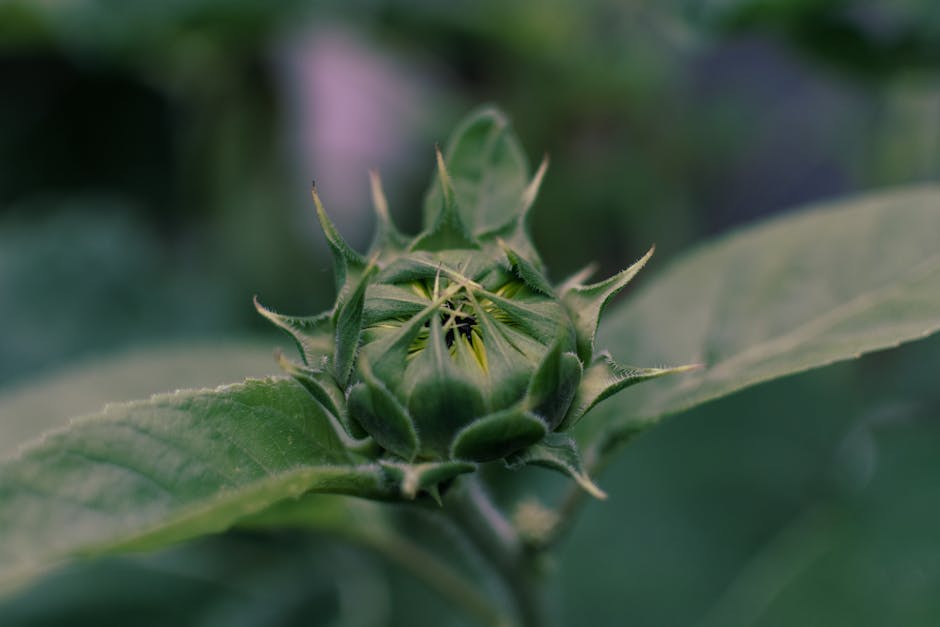 Are there new farming techniques emerging?