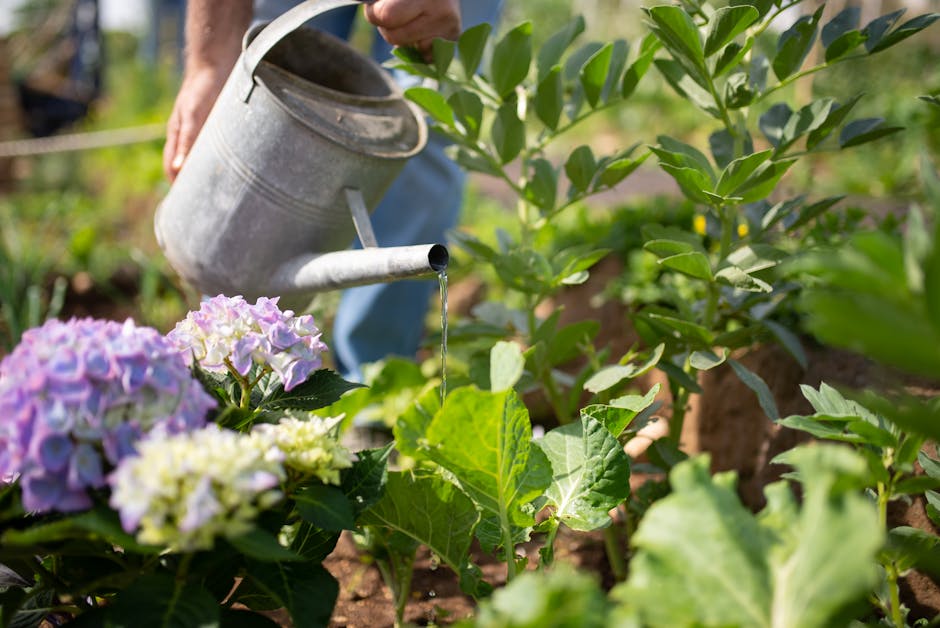 Did past farming practices contribute to soil erosion?