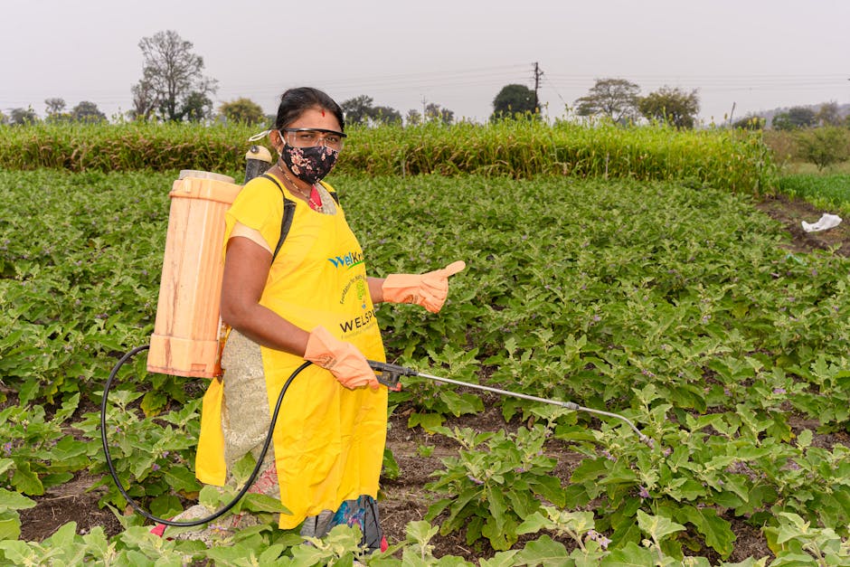 How can farmers improve their livestock management?