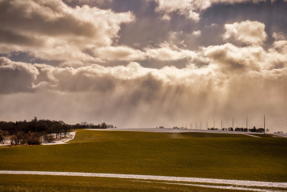 What impact does climate change have on yields?