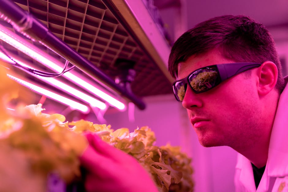 Will technology improve crop yields in the future?