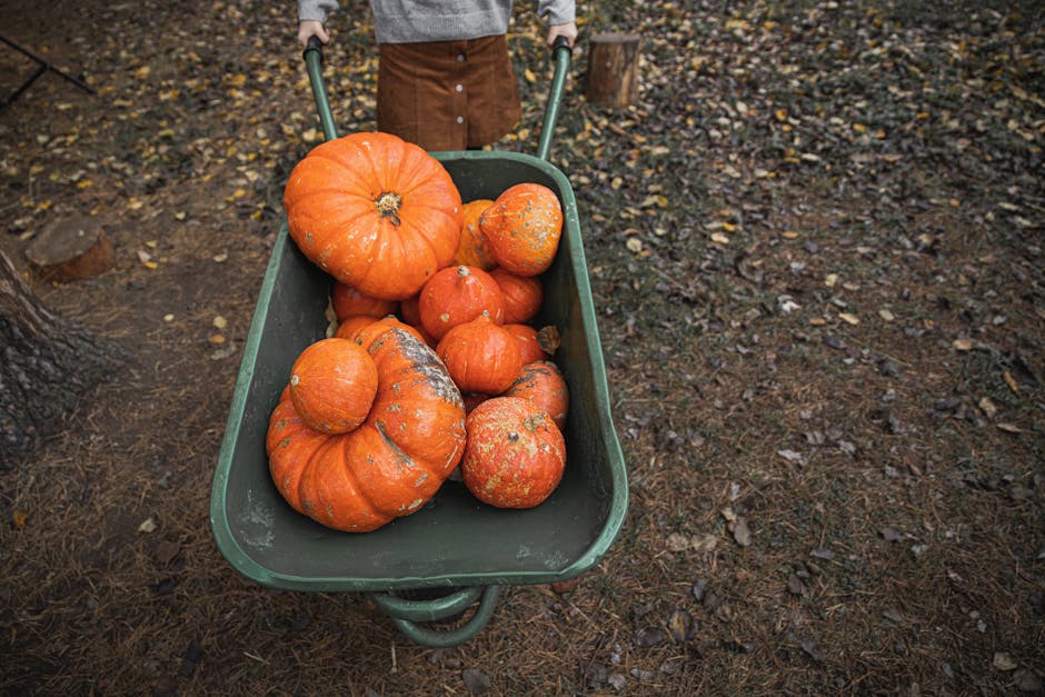 Have farming practices changed over time?