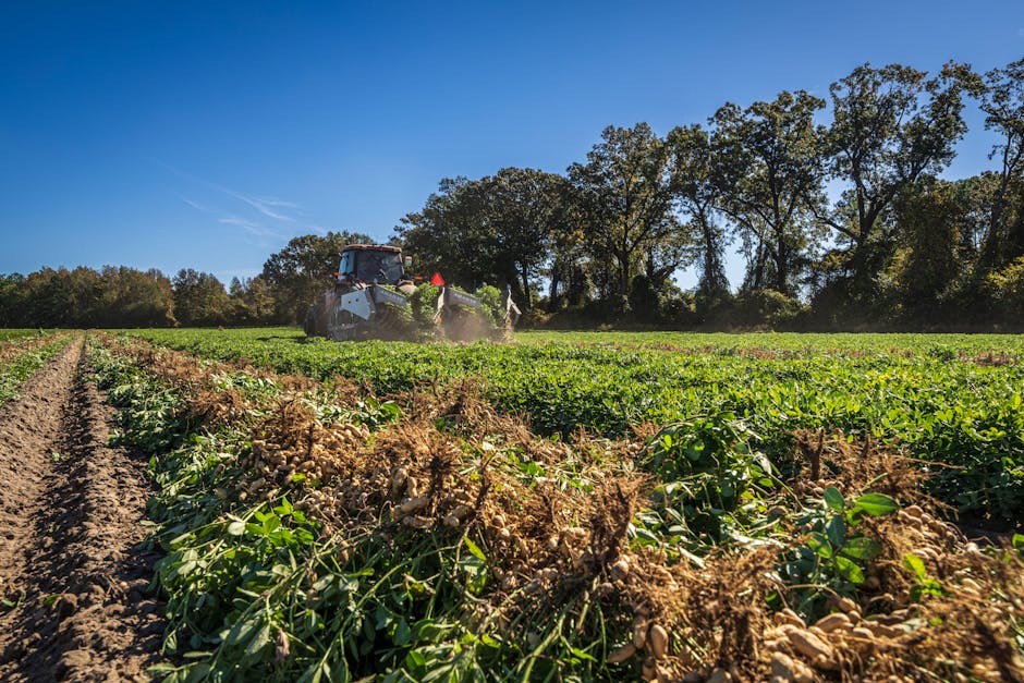 Are there enough resources for all farmers?