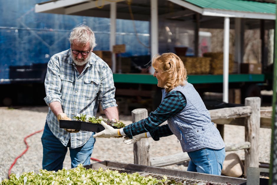 Does government support help farmers succeed?