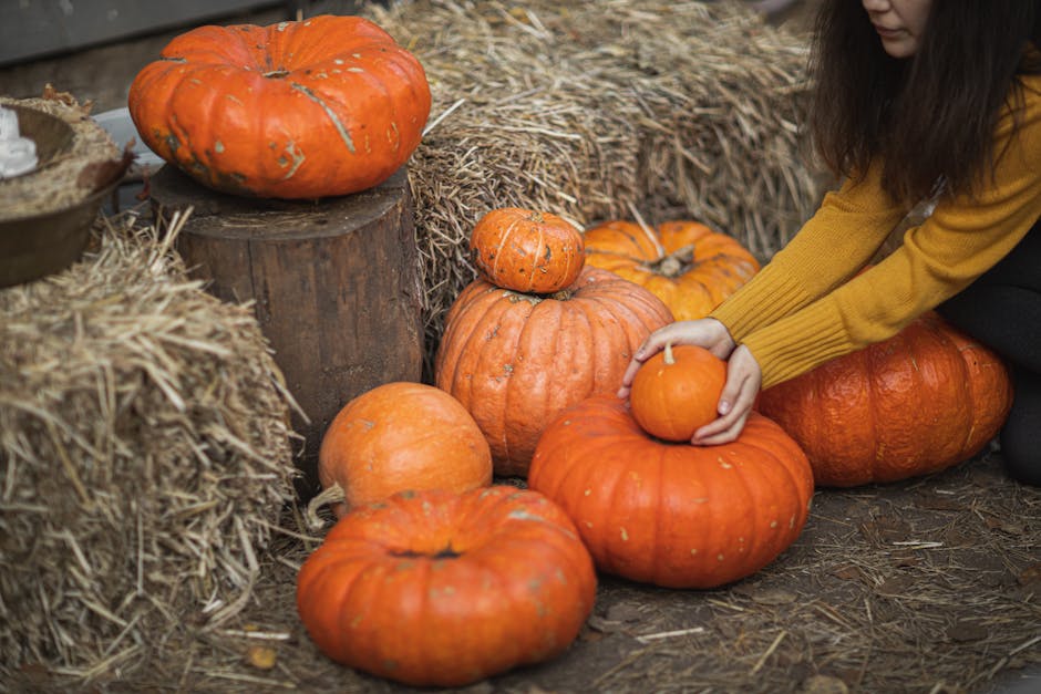 What are the main challenges facing small farms today?