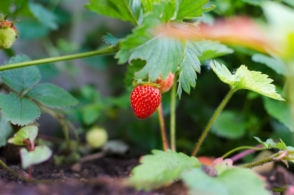 Whose responsibility is it to ensure food safety?