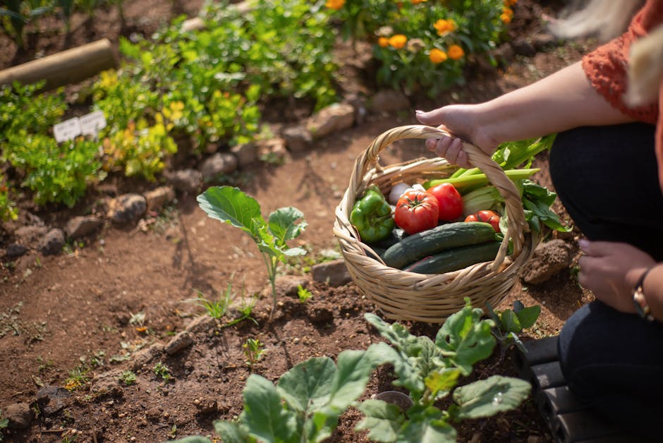 Why is biodiversity important for agriculture?